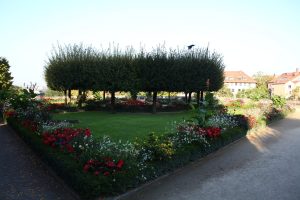 Burggarten - früh morgens ohne Touristen