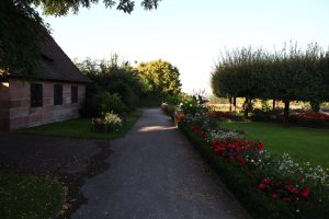 Burggarten - früh morgens ohne Touristen